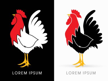 Horoz grafik vektör.