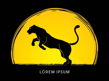 Panter ya dişi aslan atlama 