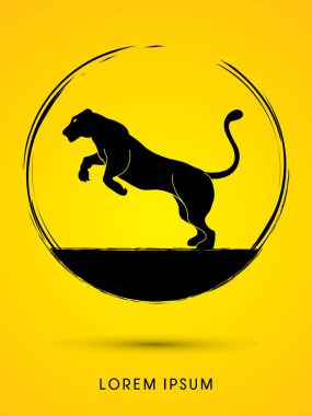Panter ya dişi aslan atlama 