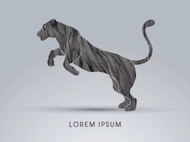 Panter ya dişi aslan atlama 