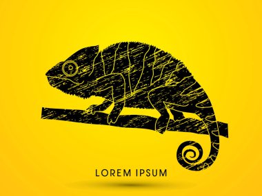 Bukalemun Grafik vektör.