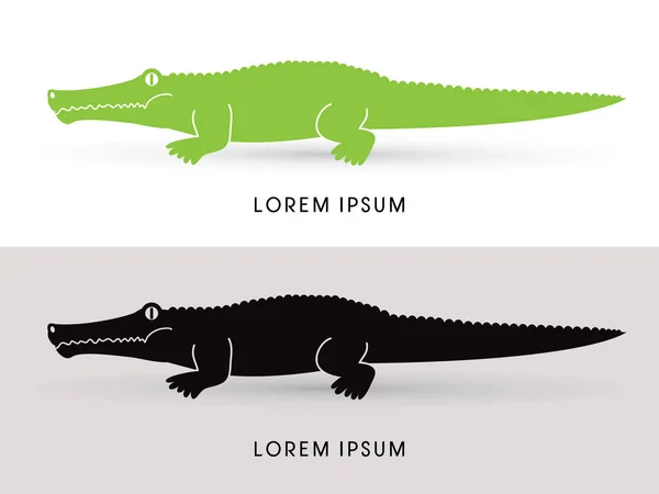 Zijaanzicht van de krokodil — Stockvector