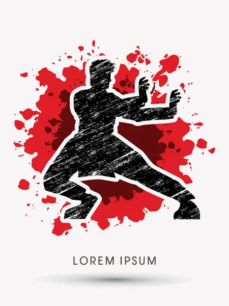 Pose de Kung Fu . — Image vectorielle
