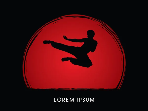 Kung Fu pose. — Stock Illustration Kung Fu pose. Vector Graphics