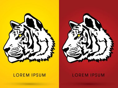 Kaplan yüz, baş yan görünüm.