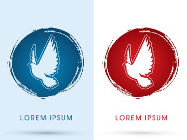 Güvercin ruhu grafiği