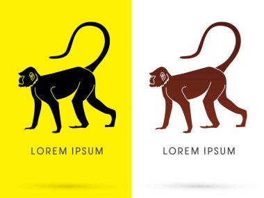 Siluet maymun grafiği