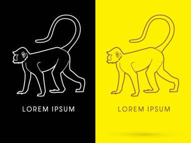 Siluet maymun grafiği