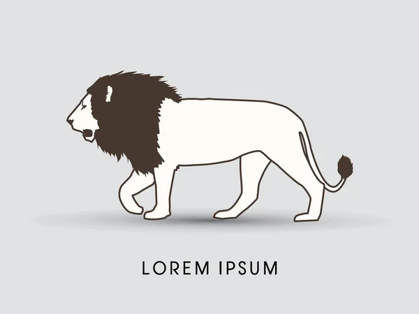 Lion chůze grafika — Stockový vektor