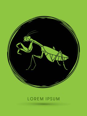 Peygamber devesi Mantodea çekirge