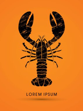 Istakoz Üstten Görünüm