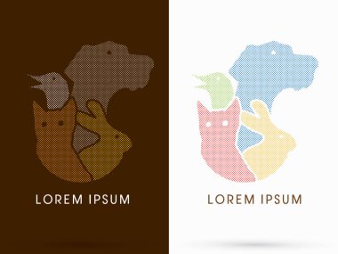 Evcil Hayvan, köpek, kuş, kedi, tavşan 