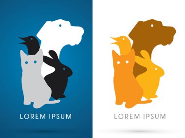 Evcil Hayvan, köpek, kuş, kedi, tavşan 