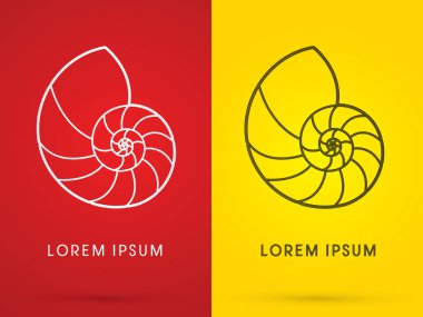 Deniz kabukları kabuklu 