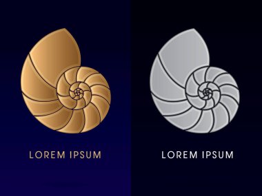 Deniz kabukları kabuklu 