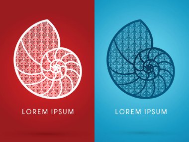 Deniz kabukları kabuklu 