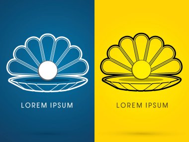 İnci deniz kabuğu ile deniz kabuğu  