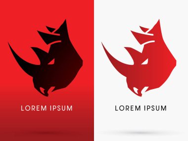 Öfkeli gergedanın kafasına 