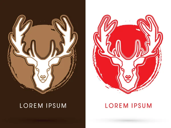 Geyik kafası. Büyük horn 