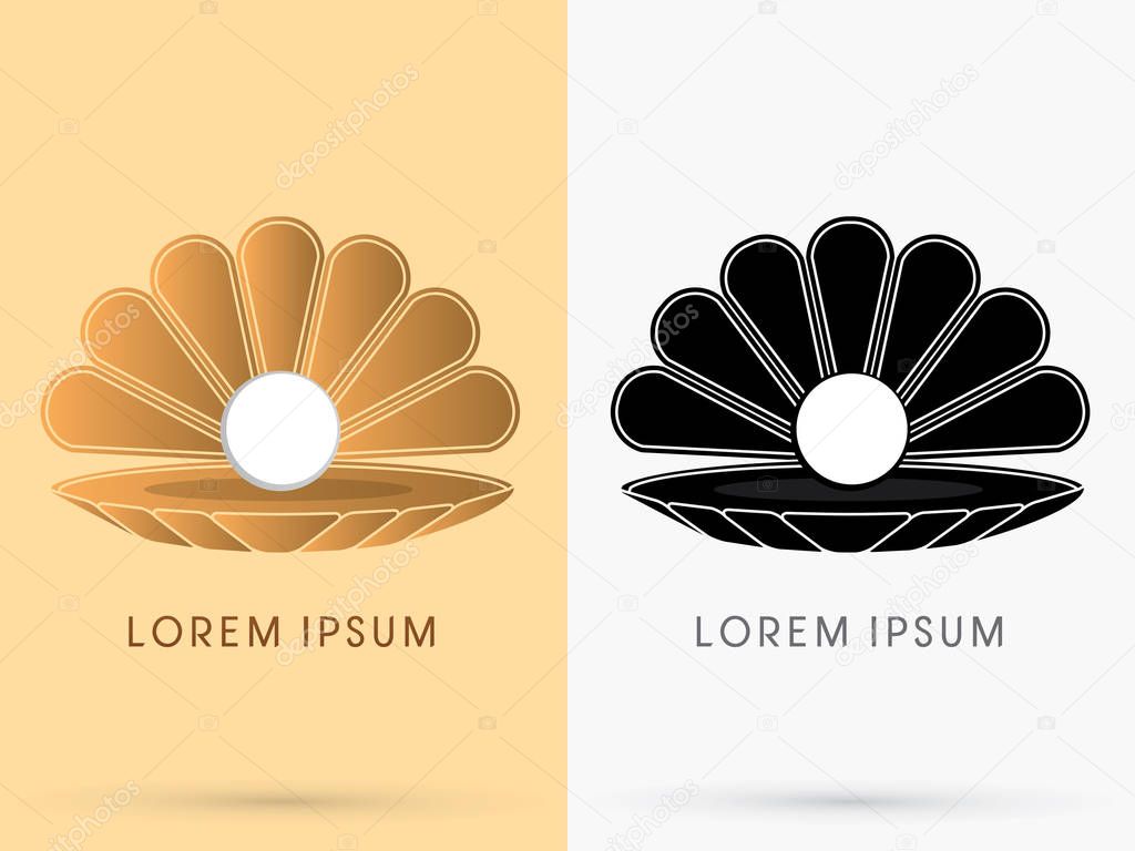 Sea shell with pearl Conch  graphic vector.