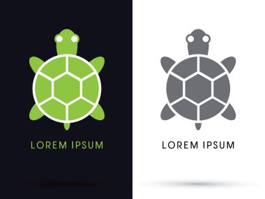 Kaplumbağa görünümü grafik top 