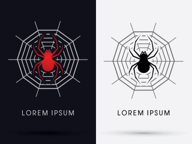 Örümcek gölge grafiği