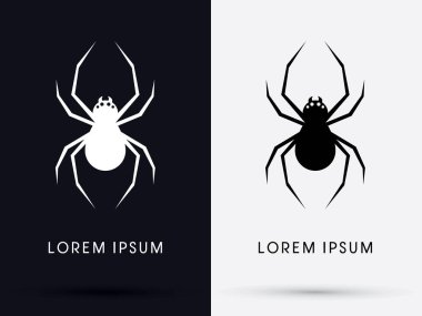 Örümcek gölge grafiği