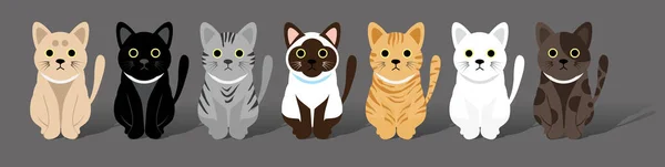 Cute cats gang — Stock Vector