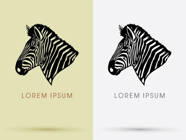 Zebra hoofd vector — Stockvector