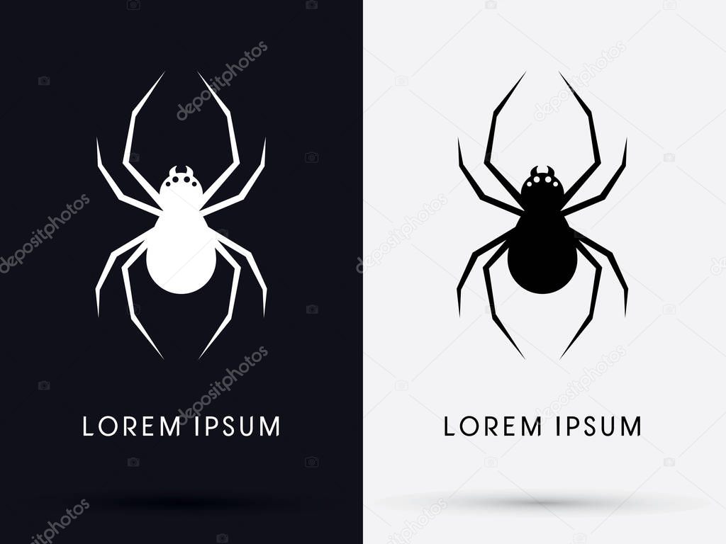 Spider shadow graphic vector.