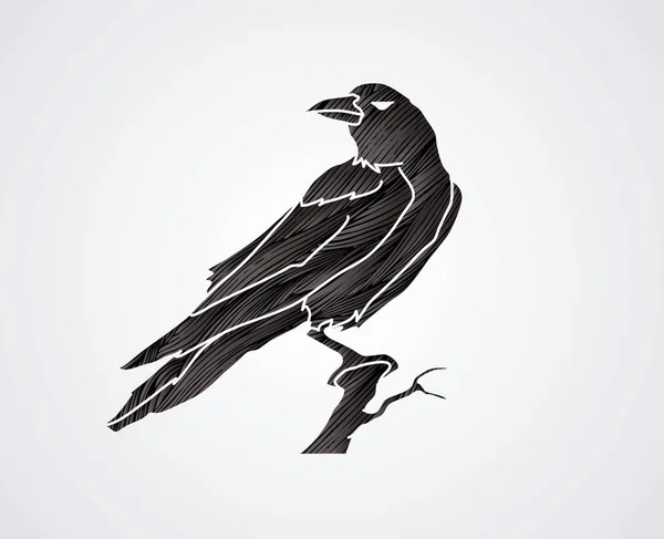 Crow vecteur graphique . — Image vectorielle