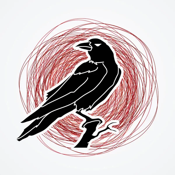 Crow vecteur graphique . — Image vectorielle