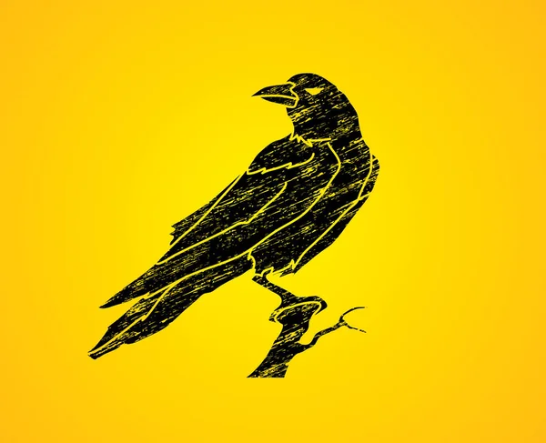 Grafický vektorový Crow. — Stockový vektor