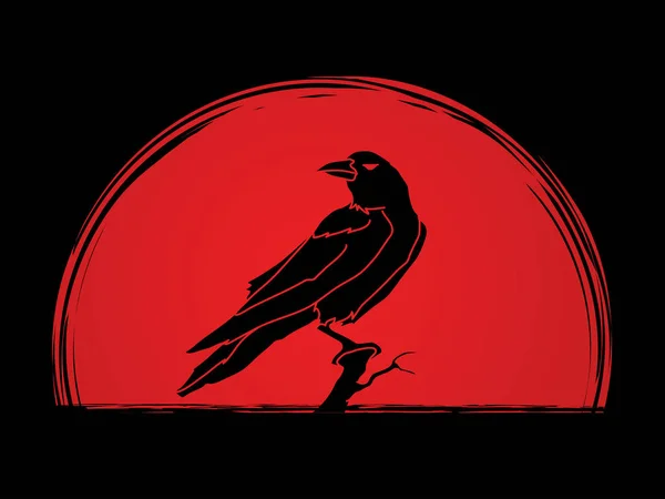 Crow vector gráfico . — Vector de stock