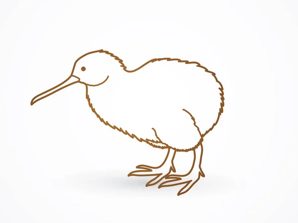 Kiwi oiseau vecteur graphique . — Image vectorielle