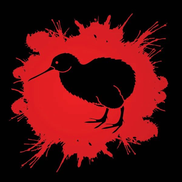 Kiwi bird graphic vector. — Stock Vector