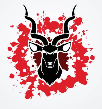 Kudu Önden Görünüm baş 