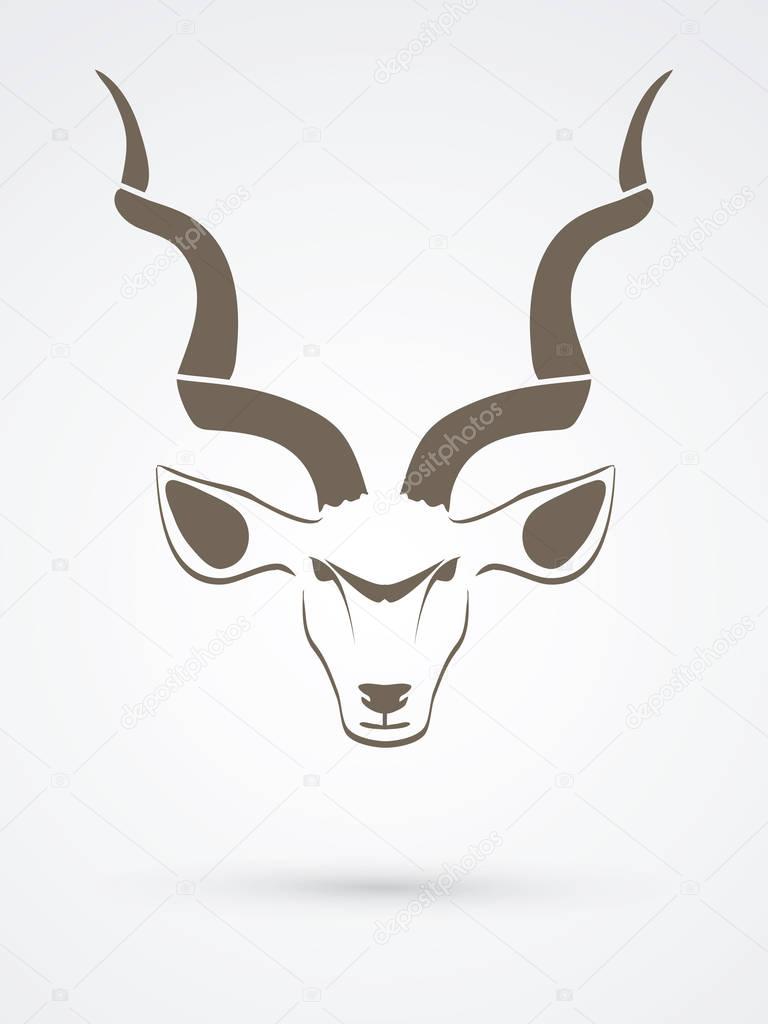 Kudu head front view 
