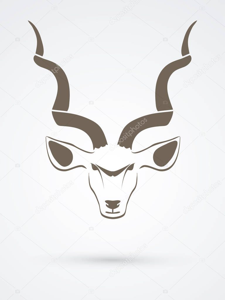 Kudu head front view 