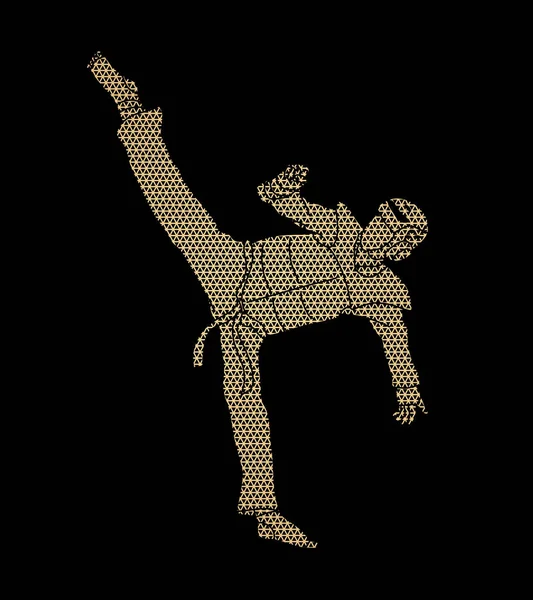 跆拳道高蹬腿动作与防护设备 — 图库矢量图片