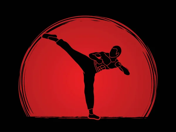 Kung Fu, Karate-Kick — Stockvektor