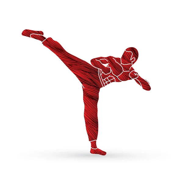 Kung Fu, Karate-Kick — Stockvektor