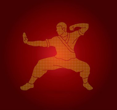 Kung fu eylem savaşmaya hazır  