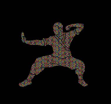 Kung fu eylem savaşmaya hazır  