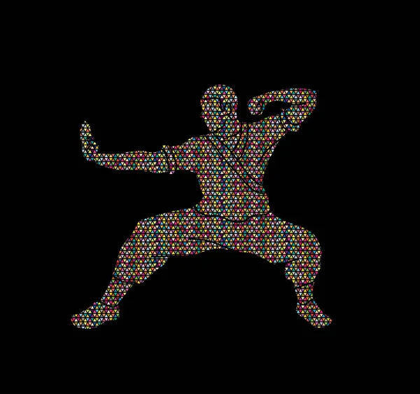 Kung fu eylem savaşmaya hazır  