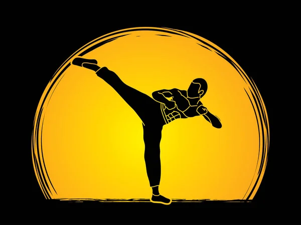 Kung fu, Karate kick — Stock Vector