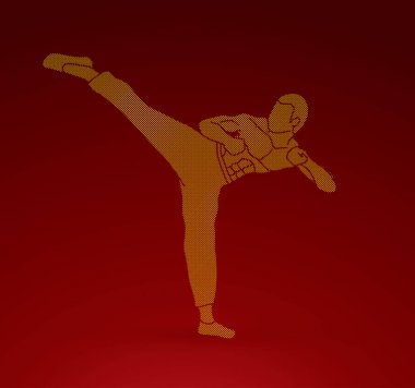 Kung fu, Karate tekme grafik vektör
