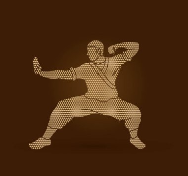 Kung fu eylem savaşmaya hazır 