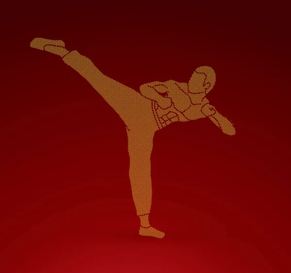 Kung fu, vector gráfico de patada de karate — Archivo Imágenes Vectoriales