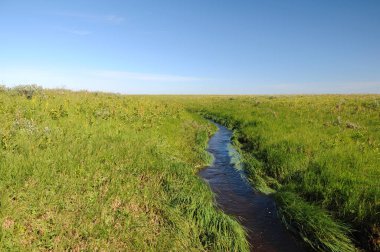 Beautiful small stream in the tundra